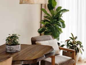 ملبورن 1 طاولة الفندق